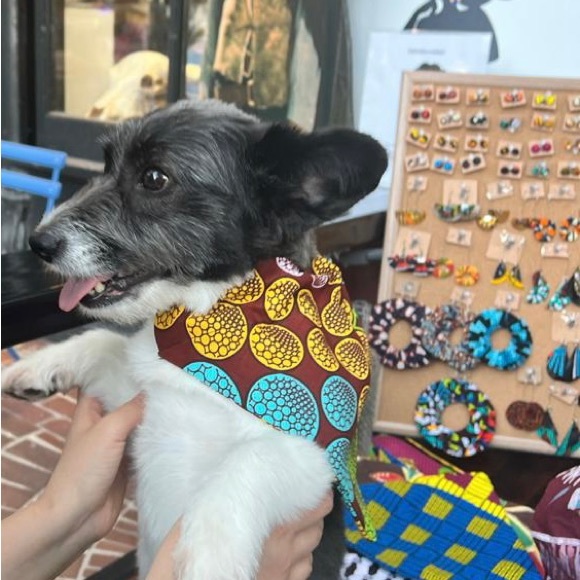 Dog bandana in African print - Picture 2 of 3
